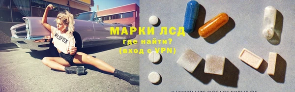стафф Арсеньев