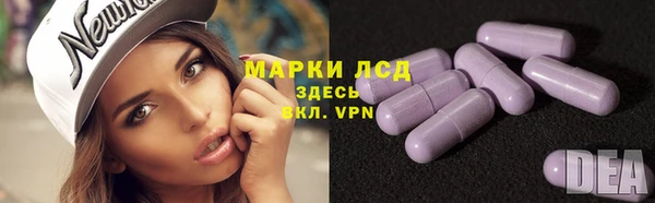 стафф Арсеньев