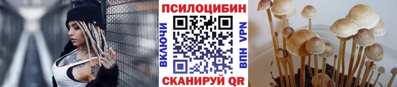 Псилоцибиновые грибы MAGIC MUSHROOMS  KRAKEN онион  Юрьевец 